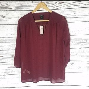 Ann Taylor Sheer Blouse